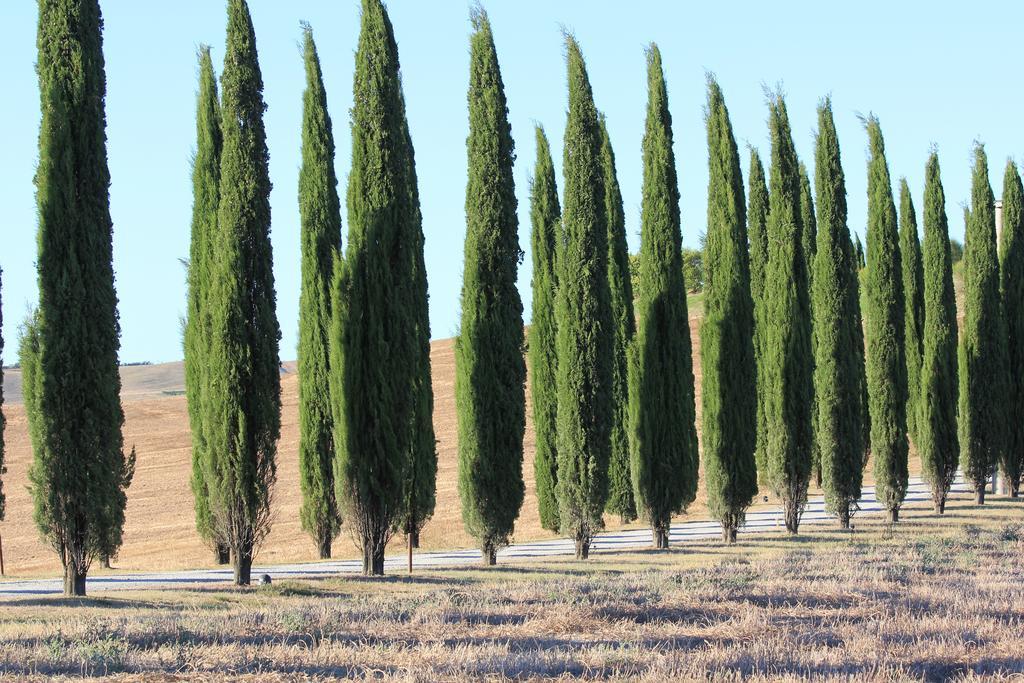 Apartmán La Terrazza Sulla Val D'Orcia Castiglione dʼOrcia Exteriér fotografie