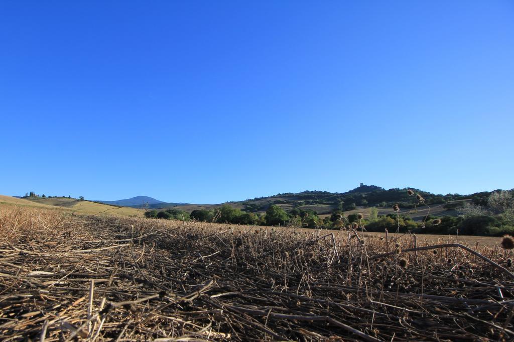 Apartmán La Terrazza Sulla Val D'Orcia Castiglione dʼOrcia Exteriér fotografie