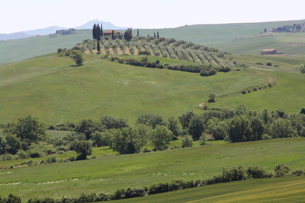 Apartmán La Terrazza Sulla Val D'Orcia Castiglione dʼOrcia Exteriér fotografie
